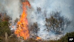 FILE - The Blue Cut fire burns in Upper Lytle Creek near Wrightwood, California, Aug. 19, 2016. 