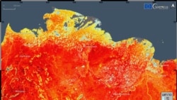 This photo taken on Friday, June 19, 2020 and provided by ECMWF Copernicus Climate Change Service shows the land surface temperature in the Siberia region of Russia. A record-breaking temperature of 38 degrees Celsius was registered in the Arctic town of