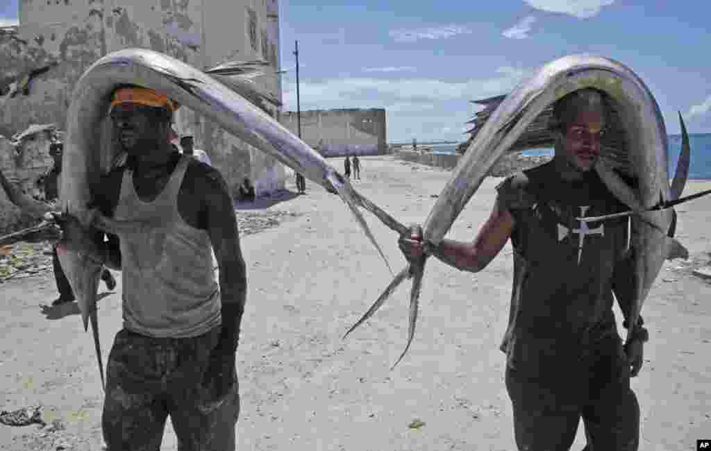 Pria Somalia membawa ikan todak dari laut ke pasar di ibukota Mogadishu.