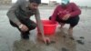 Pakistani Wildlife Team Takes Care of Green Turtle Babies 