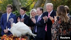 U.S. President Donald Trump participates in the 70th National Thanksgiving turkey pardoning ceremony in the Rose Garden of the White House in Washington, U.S.