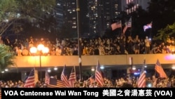 主辦單位估計有13萬人參與"香港人權與民主法案集氣大會" （攝影：美國之音湯惠芸）