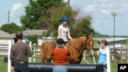 If ever there was a summer-camp staple, it’s horseback riding.