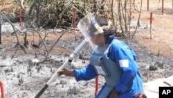 Landmines were responsible for many thousands of deaths and injuries in African countries. Here, a demining operation in Mozambique.