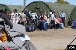 Croatian police, some in riot gear, organize lines of travelers in an attempt to register them. By late Wednesday, refugees said they had given up, and were shuttling them across the country, Opatovac, Croatia, Sep 23, 2015 (VOA Photo By: H. Murdock)