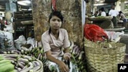ပုဂၢလိကပုိင္ ျပဳလုပ္မႈေၾကာင့္ ျမန္မာ့စီးပြားေရး စစ္တပ္ထိန္းခ်ဳပ္မႈ ခုိင္ၿမဲ