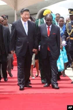 Chinese President Xi Jinping, right, and Zimbabwean President Robert Mugabe hold hands upon his arrival in Harare, Zimbabwe, Tuesday, Dec. 1. 2015.