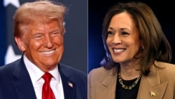 Combinaison d'images de l'ancien président Donald Trump et la vice-présidente Kamala Harris, créée le 25 octobre 2024