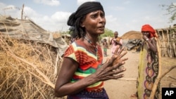 In this photo taken Jan. 26, 2016, Mayrem Humeyisu talks about food supply in her neighborhood in a rural village Dubti Woreda, Afar, Ethiopia. 