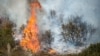 Cause of Most US Wildfires Traced to People, Study Finds