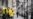 Quarantined in Moscow With More Questions Than Answers