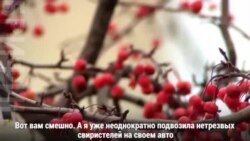 Пьяные птицы Миннесоты