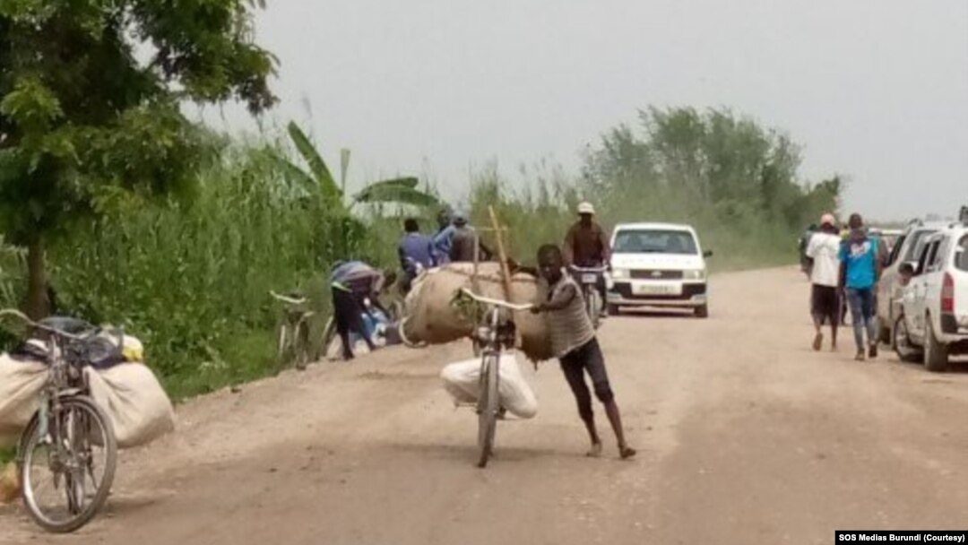 Abatwara amakinga bapakiye isukari mu Gatumba mu burengero bwa Bujumbura