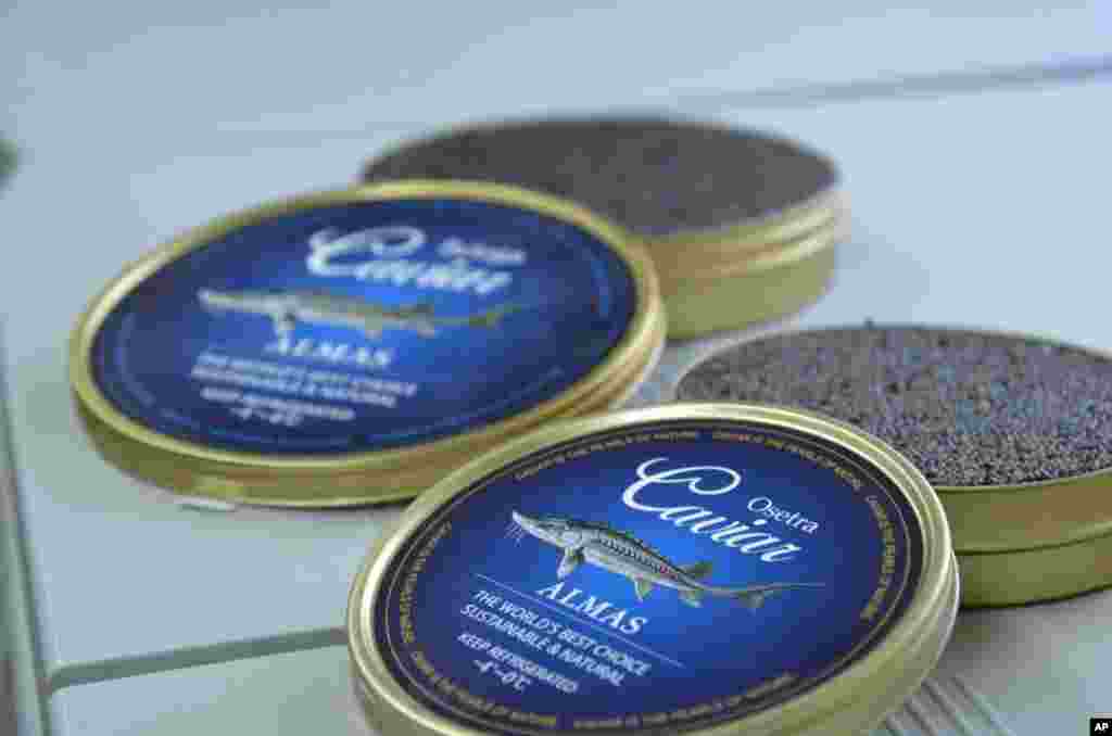 Tins of osetra caviar, which comes from Persian or Russian sturgeon, is rivaled in price and quality only by the larger beluga. (VOA - S. Herman)