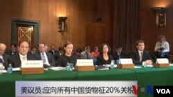 美議員： 應該向所有中國貨物徵收20%關稅