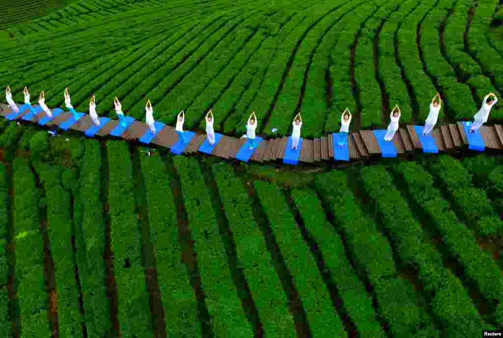 People perform yoga in a tea plantation in Enshi, Hubei province.