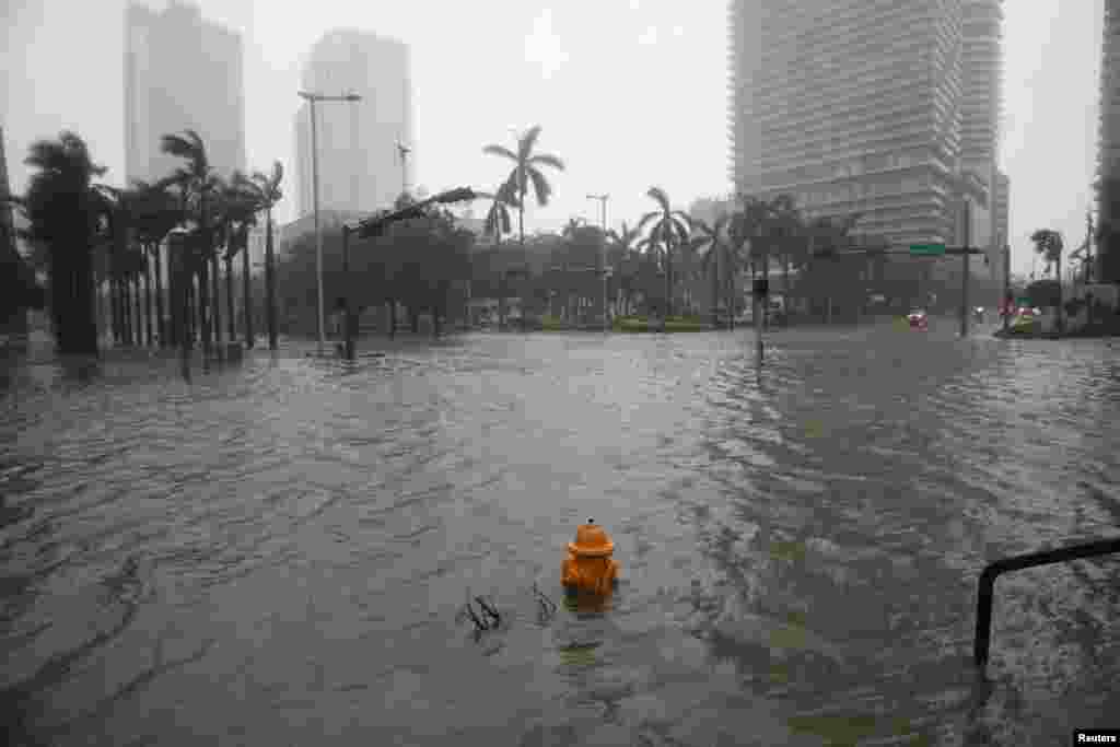 Flooding in the Brickell neighborhood as Hurricane Irma passes Miami, Florida, Sept. 10, 2017.