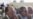 End Near for Zimbabwe's Last White Farmers