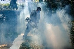FILE - A worker sprays insecticide for mosquitoes at a village in Bangkok, Thailand, Dec. 12, 2017.