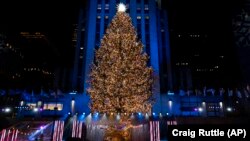 美國紐約市洛克菲勒中心聖誕樹