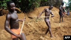 Des mineurs travaillent à la mine de diamants de Banengbele, à 10 km au sud de Boda, le 22 mai 2015 en République centrafricaine.