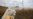 Source of Contamination at Fukushima Nuclear Plant Unknown