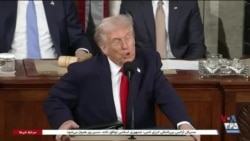 اخبار شامگاهی