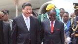 Vanhu Vozeya Hukama hweChina neZimbabwe