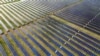 Pin mặt trời được lắp đặt tại một nông trại ở bang Indiana, Hoa Kỳ. Một số nhà sản xuất Mỹ hôm 24/4/2024 yêu cầu chính phủ điều tra và áp mức thuế cao lên các sản phẩm pin mặt trời nhập khẩu từ Việt Nam, Malaysia, Campuchia và Thái Lan.