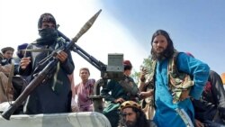 Mayakan Taliban