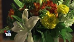 زندگی و هنر