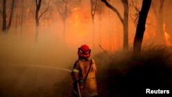 Petugas berusaha memadamkan kebakaran hutan di utara Newcastle, Australia, akhir Nov.ember 2018 lalu (foto: dok).