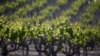 Water Wars in California's Coastal Wine Country