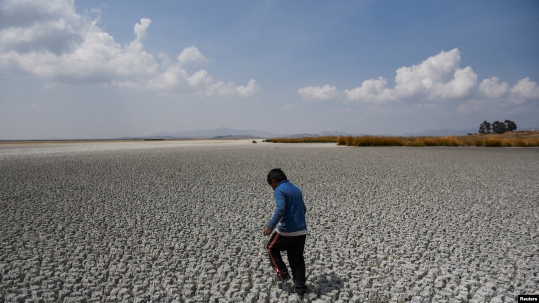 ARCHIVO - Alex Flores camina por una zona seca del lago Titicaca, la cuenca de agua dulce más grande de América Latina, mientras se acerca a niveles récord, en la isla Cojata, Bolivia, el 26 de octubre de 2023.