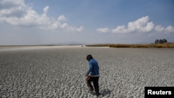 ARCHIVO - Alex Flores camina por una zona seca del lago Titicaca, la cuenca de agua dulce más grande de América Latina, mientras se acerca a niveles récord, en la isla Cojata, Bolivia, el 26 de octubre de 2023.