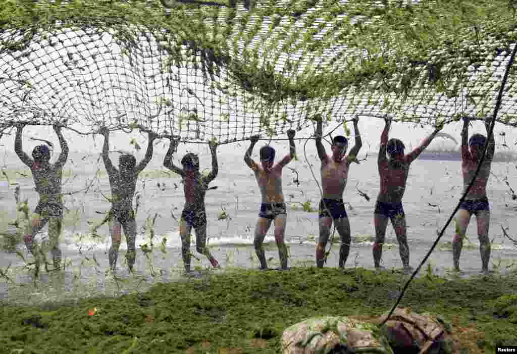 Cư dân dùng lưới vớt tảo xanh trên bãi biển ở Thanh Đảo, tỉnh Sơn Đông, ngày 12 tháng bảy năm 2012. 