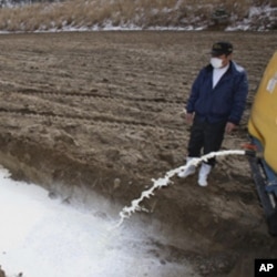 A farmer drains milk into a pit in Iitate, northeastern Japan.
