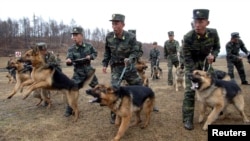 မြောက်ကိုရီးယားစစ်သားတချို့ စစ်ရေးလေ့ကျင့်နေစဉ်။ (ဧပြီလ ၆ ရက်၊ ၂၀၁၃)။