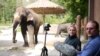 Angela Stoeger and Daniel Mietchen record Koshik's vocalizations at the Everland Zoo in South Korea. (Credit: Current Biology, Stoeger et al.)