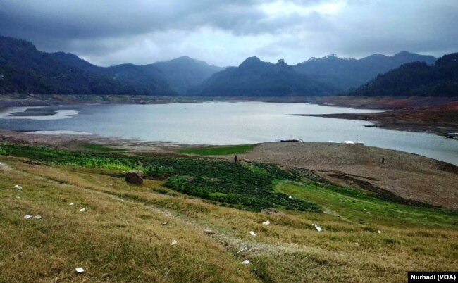 Waduk Sempor di Kebumen, Jawa Tengah mengering akibat kemarau, tanah berumput itu normalnya terendam air. (Foto:VOA/Nurhadi)