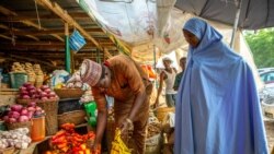 FAO: "10% de la population mondiale fait face à la faim chronique"