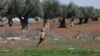 Syrian Kurdish Farmers Accuse Turkey-Backed Militias of Seizing, Taxing Olive Crops