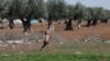 FILE - An internally displaced Syrian boy runs in a olive field, in Azaz, Syria, March 11, 2020.