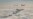 Bombarderos de EEUU hacen maniobras con Corea del Sur y Japón tras un ensayo de misil norcoreano