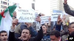 حه‌مید ئه‌لعه‌یاشی: زه‌مینه‌کانی ئه‌لجه‌زایر و میسر لێک جیاوازن