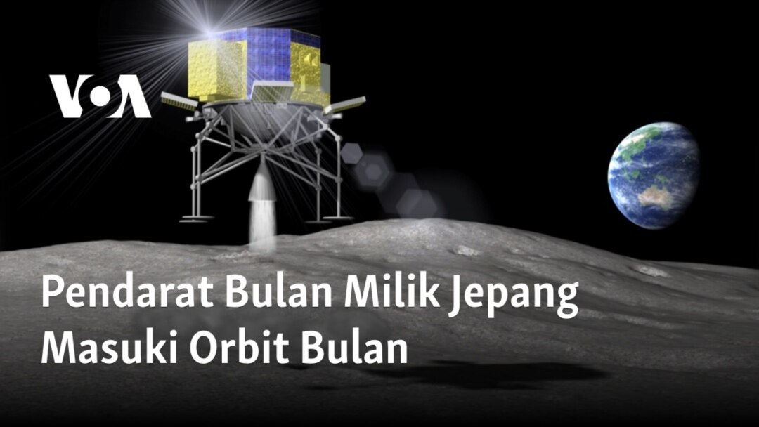 Jinsiy mutantlar fotosurati Jinsiy mutantlar fotosurati