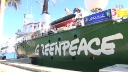 Activistas se unen a Greenpeace por Puerto Rico