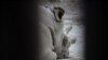 Sudan, le rhinocéros blanc, dans le zoo de Dvur Kralove, le 16 décembre 2009.