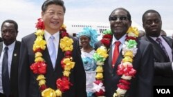 Les présidents chinois et zimbabwéen Xi Jinping et Robert Mugabe.