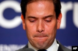 Kendi eyaletinde kaybeden Florida Senatörü Marco Rubio kampanya faaliyetlerini askıya aldı.